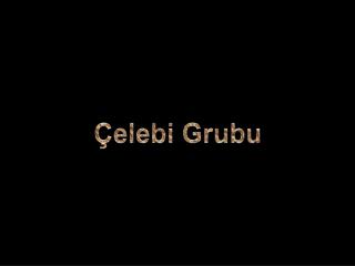 Çelebi Grubu