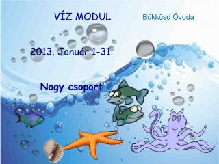 VÍZ MODUL 2013. Január 1-31. Nagy csoport