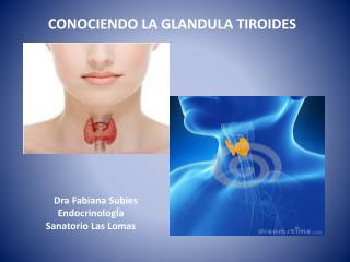 CONOCIENDO LA GLANDULA TIROIDES