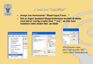 Å lese inn ”Inputfiler”