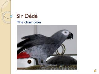 Sir Dédé