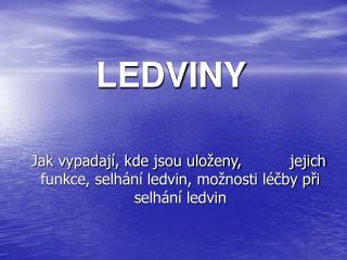 LEDVINY