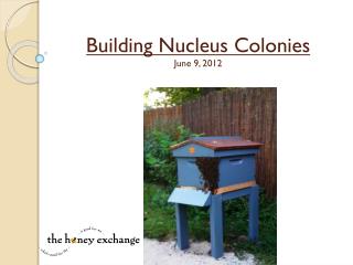 Building Nucleus Colonies June 9, 2012