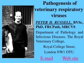 Pathogenesis of veterinary respiratory viruses