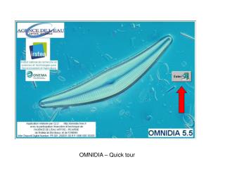 OMNIDIA – Quick tour