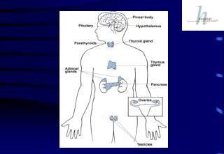 Hypophysen-Schilddrüsen-Regelkreis