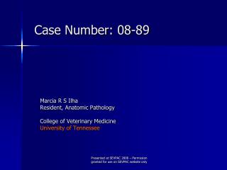 Case Number: 08-89