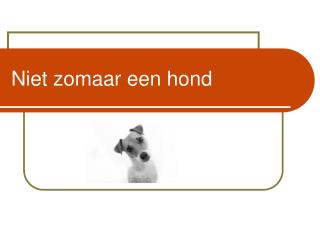 Niet zomaar een hond