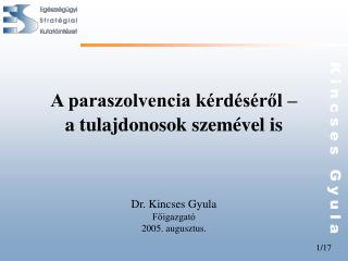 A paraszolvencia kérdéséről – a tulajdonosok szemével is