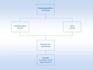 Onderwerp BLOK 1: Zelfreflectie