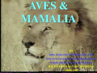 AVES &amp; MAMALIA
