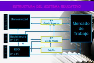 Universidad