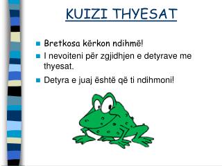 KUIZI THYESAT