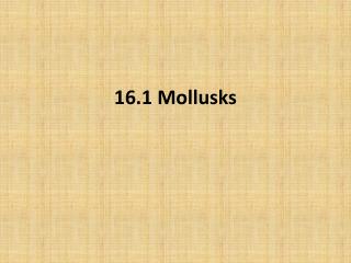 16.1 Mollusks