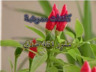 كائنات ممرضة مقرر 461 حدق