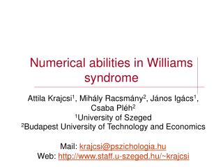 Numerical abilities in Williams syndrome