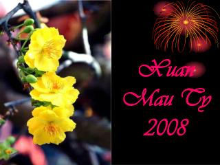 Xuan Mau Ty 2008