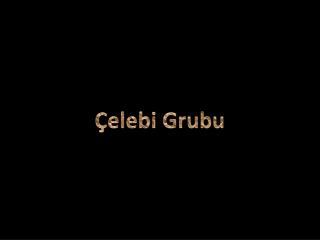 Çelebi Grubu