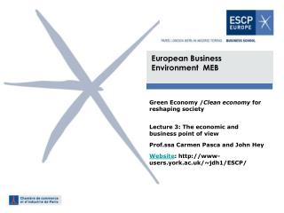 European Business Environment MEB