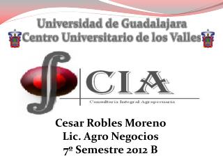 Cesar Robles Moreno Lic. Agro Negocios 7º Semestre 2012 B