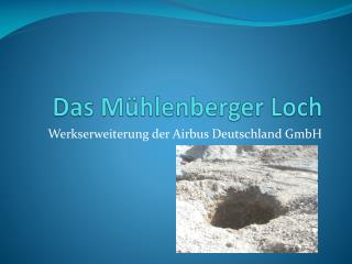 Das Mühlenberger Loch
