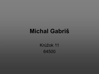 Michal Gabriš