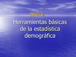 TEMA 6