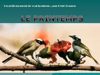 LE PRINTEMPS