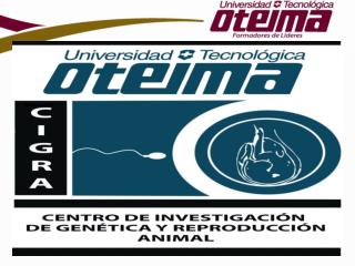 CENTRO DE INVESTIGACIÓN DE GENÉTICA Y REPRODUCCIÓN ANIMAL, S.A. (CIGRA)