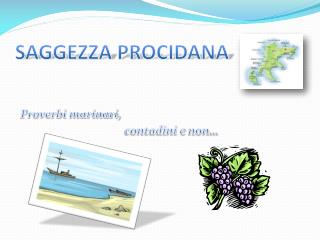 SAGGEZZA PROCIDANA