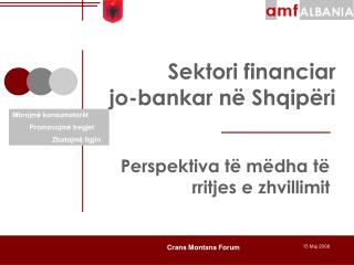 Sektori financiar jo-bankar në Shqipëri