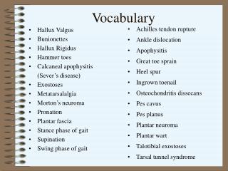 Vocabulary