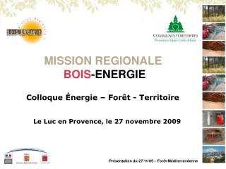 MISSION REGIONALE BOIS -ENERGIE