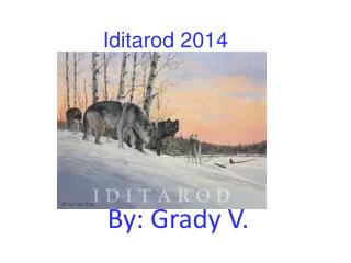 Iditarod 2014
