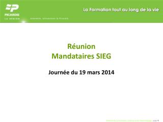 Réunion Mandataires SIEG Journée du 19 mars 2014