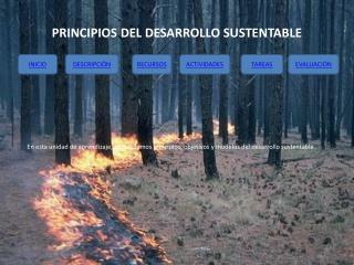 PRINCIPIOS DEL DESARROLLO SUSTENTABLE