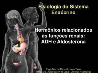 Fisiologia do Sistema Endócrino Hormônios relacionados às funções renais: ADH e Aldosterona