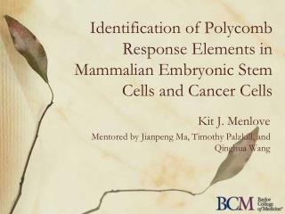 Identification of Polycomb Response Elements in Mammalian Embryonic Stem Cells and Cancer Cells