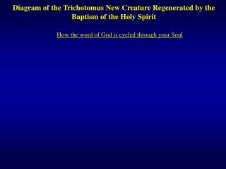Diagram of the Trichotomus New Creature Regenerated by the Baptism of the Holy Spirit