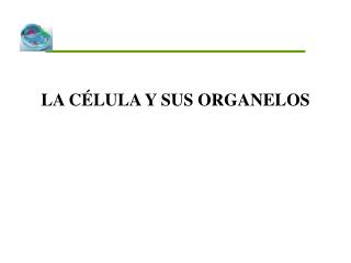 LA CÉLULA Y SUS ORGANELOS