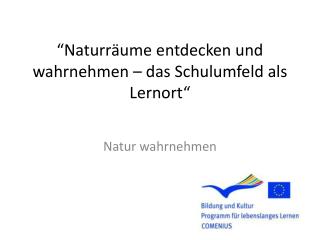 “ Naturr äume entdecken und wahrnehmen – das Schulumfeld als Lernort“