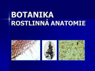 BOTANIKA ROSTLINNÁ ANATOMIE