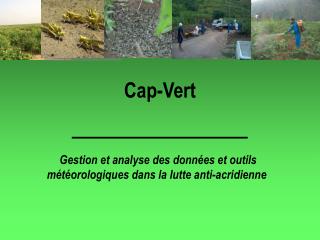 Cap-Vert