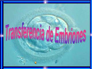 Transferencia de Embriones