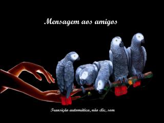 Mensagem aos amigos