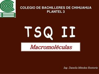 COLEGIO DE BACHILLERES DE CHIHUAHUA PLANTEL 3