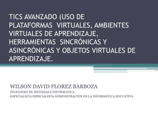 WILSON DAVID FLOREZ BARBOZA INGENIERO DE SISTEMAS E INFORMATICA