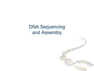 DNA Sequencing and Assembly