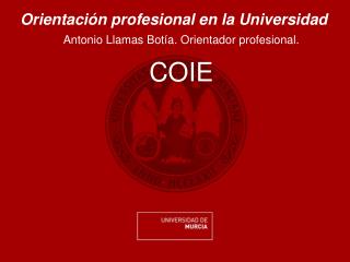 Orientación profesional en la Universidad Antonio Llamas Botía. Orientador profesional. COIE