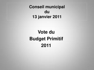 Conseil municipal du 13 janvier 2011